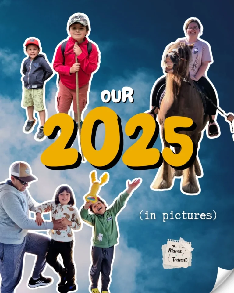 Instagram post from mamaintransit. This post is in position 0.