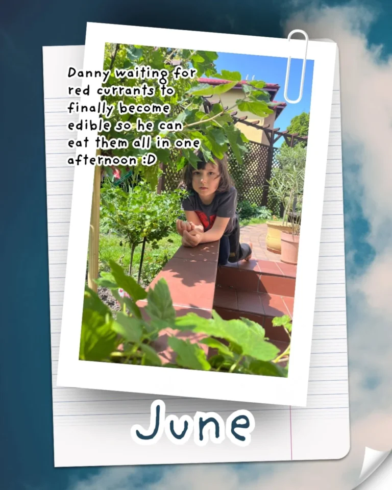 Instagram post from mamaintransit. This post is in position 6.