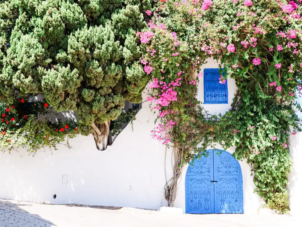tunisian door sidi bou said